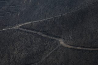 Καμμένο δάσο στη βόρεια Εύβοια
